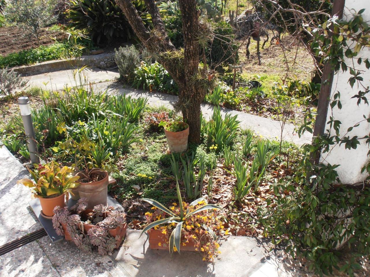 Casa Fortuna Imperia Esterno foto